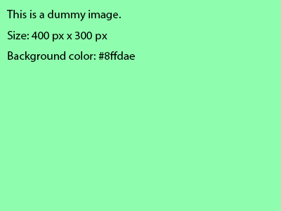Fig.2 Caption text is here